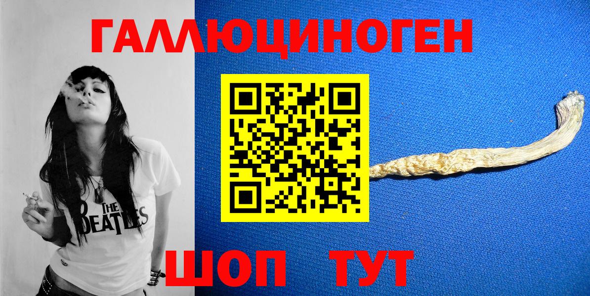 Псилоцибиновые грибы Cubensis Саратов