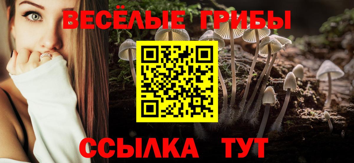 Псилоцибиновые грибы Psilocybine cubensis  Вход с VPN  Саратов 